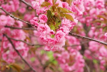常州金坛区线下个人借款平台一站式服务，轻松解决资金难题