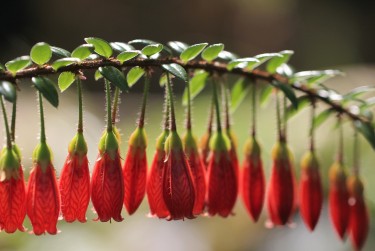 常州金坛区零用贷短借：轻松解决临时资金需求