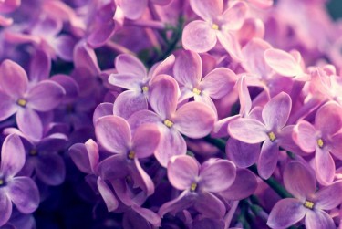 常州金坛区企业急用钱贷款攻略：快速融资解燃眉之急